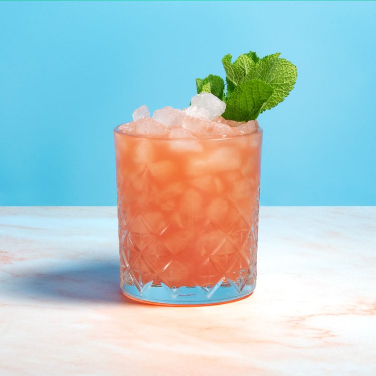 Koop Amsterdam Watermelon Vodka Amsterdam Republic